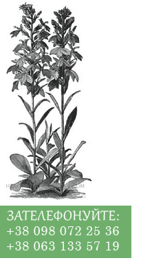 Ландшафтные дизайнеры в Одессе